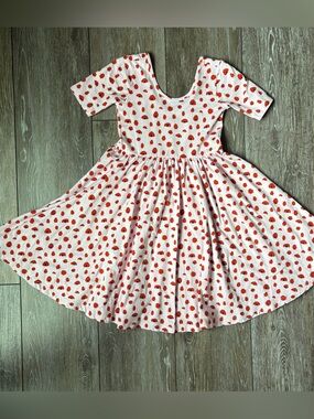 Alice + Ames Lady Bug Ballet Dress